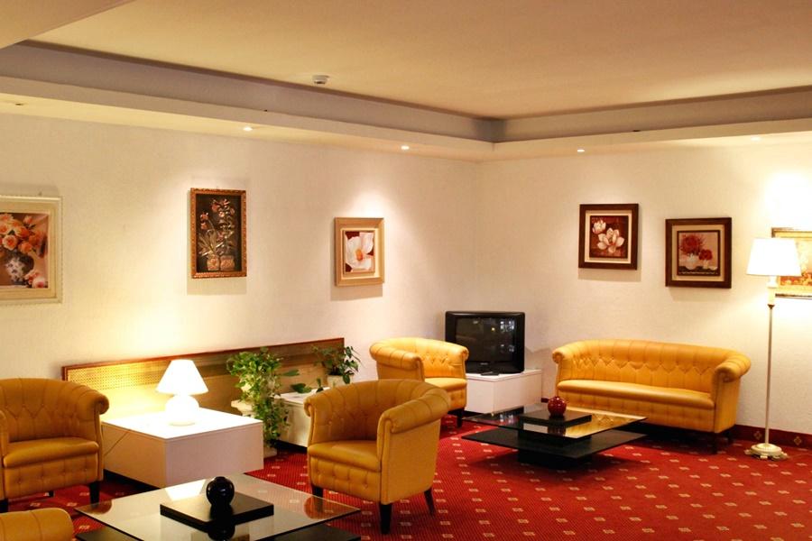 Edera 3*