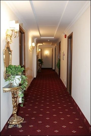 Edera